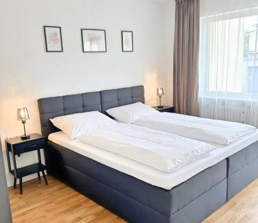 Grenzach-Wyhlen Apartment | Basilisk Homes - in Grenzach-Wyhlen bei Basel - 4 x Moderne Fewos je 1bis2, 1bis4 oder 1bis6 Pers mit Küche und Balkon oder Terrasse - Parkplätze vorhanden