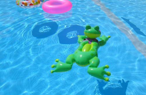 Berreaga-Mendi House | Basque Palace, Mansion con Jardín, Barbacoa, Gimnasio, Piscina, Sauna