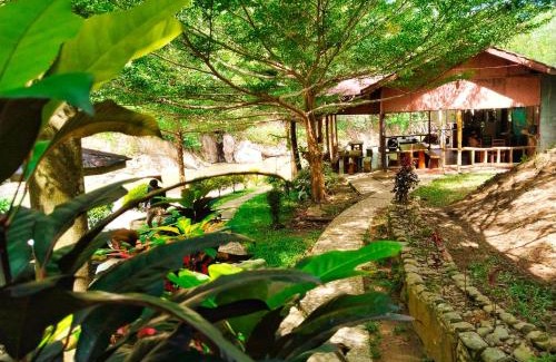 Bohorok House | Batu Katak - Gibbon Guesthouse