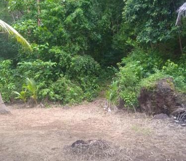 Karimunjawa Islands Ski Chalet | batu putih cottage karimunjawa