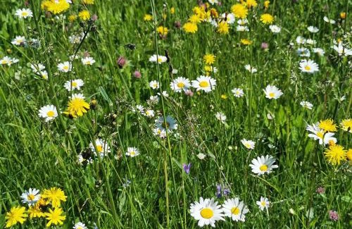 Matrei in Osttirol House | Bauernhof Bethuber