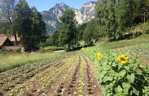 Magre sulla Strada del Vino Apartment | Bauernhof Hof Unternberg