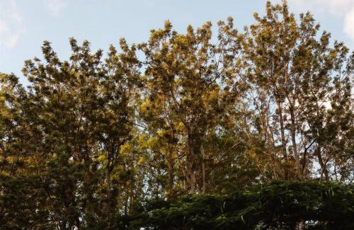 Mapleton House | Baxter Lodge - Hinterland Country Luxury