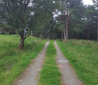 Svanøybukt House | Bay View Island Room - Svanøy