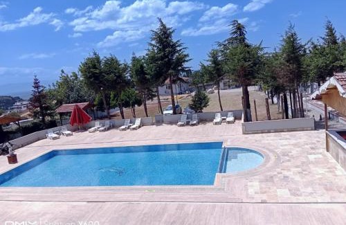 Darica Hotel | Bayramoğlu Suite