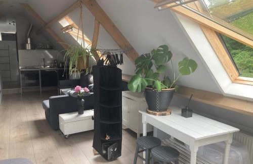 Municipality of Heemskerk House | BBOosterweg3 Studio - Free private parking