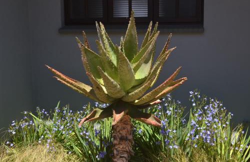 Klerksdorp House | Be At Home Guesthouse