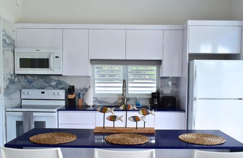 Guanajibo House | Beach house w/private pool, unit BLUE, full A/C, WiFi, kayaks