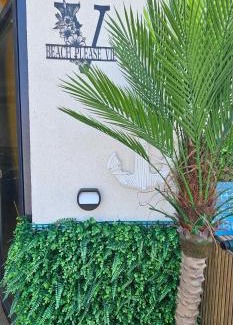 Costinesti Apartment | Beach Please VIP