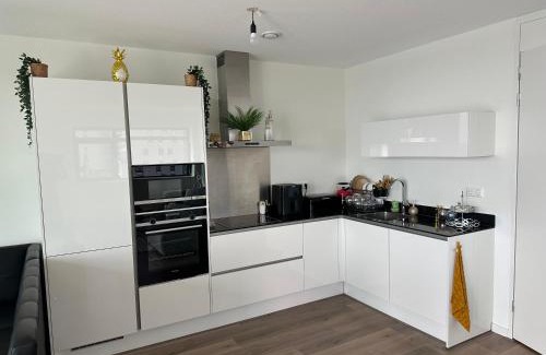 Zevenhuizen-Moerkapelle Apartment | Beachfront apartment