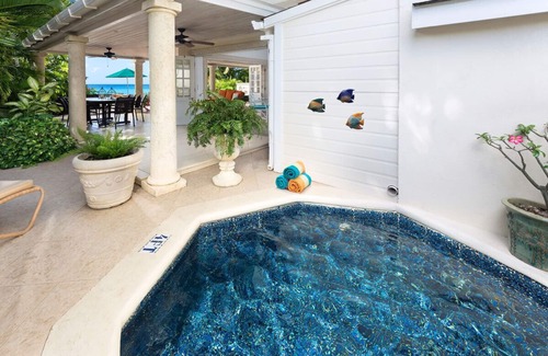 Old Trees Bay House | Beachfront Bliss with Plunge Pool - Seashells