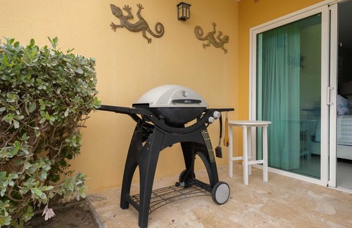 Oranjestad-West Apartment | Beachfront - Garden Delight Studio - E125-1