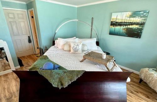 Indian Shores Apartment | Beachfront House