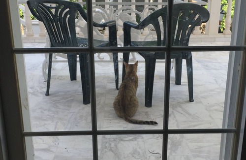 Eleonas Villa | Beachfront Villa with Majestic Views - Peloponnese - 2 hours West of Athens