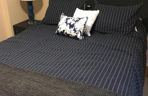 Lisgar Apartment | Beautiful 1 bedroom lower level apartment