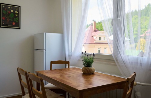 Josefov Dul Apartment | Beautiful apartment for 6 guests with WIFI, TV and balcony