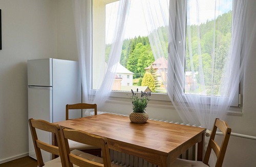 Josefov Dul Apartment | Beautiful apartment for 6 guests with WIFI, TV and balcony