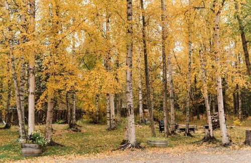 Wasilla Ski Chalet | Beautiful Alaskan Log Cabin on Wooded Lot