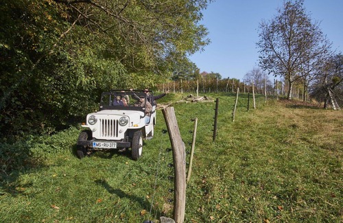 Ljutomer House | Beautiful apartment in villa for 6 guests with hot tub, WIFI, A/C, TV and patio