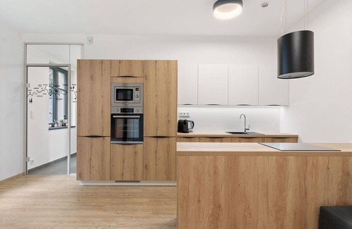 Janov nad Nisou Apartment | Beautiful apartment for 3 people with WIFI, TV and terrace