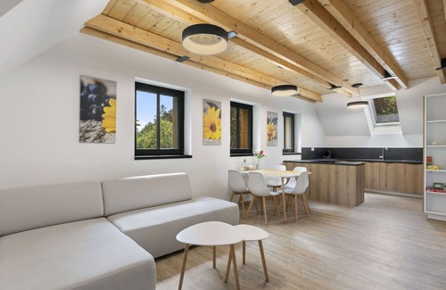 Janov nad Nisou Apartment | Beautiful apartment for 6 people with WIFI, TV and terrace