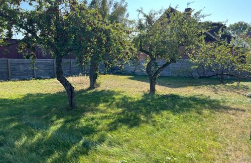 Soder Apartment | Beautiful apartment in Malmo close to everything