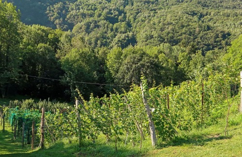 Piuro House | Beautiful apartment in villa for 2 people with terrace, pets allowed and parking