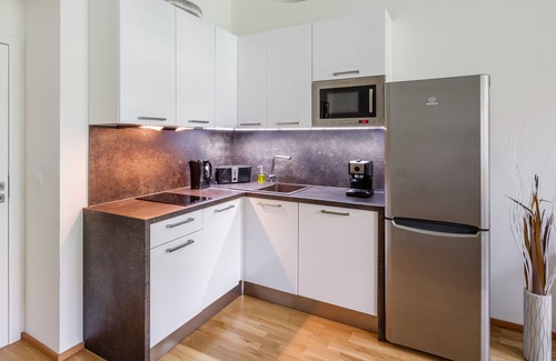 Prague 3 Apartment | Beautiful Apartment with Private Terrace in Central Prague