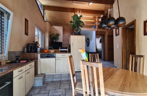 Martigny Apartment | Beautiful city duplex with large terrace and private park