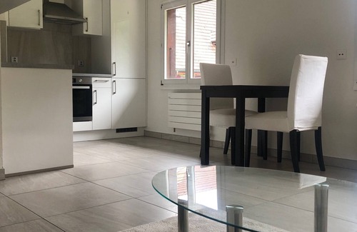Soyhieres Condo | BEAUTIFUL DUPLEX APARTMENT IN THE COUNTRYSIDE 3KM FROM DELEMONT