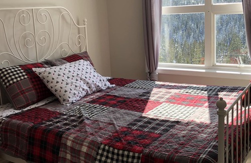 Courtenay Condo | Beautiful views on Mount Washington