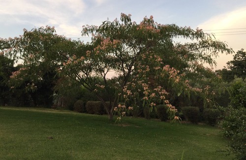 Prunete Villa | BEAUTIFUL VILLA IN PROPERTY WITH SEA VIEW, beach and shops 1.5 Km, pets welcome