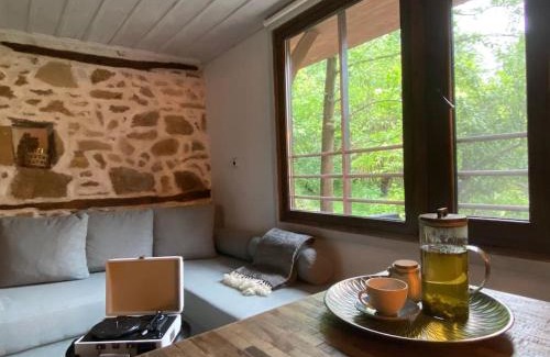 Narechen Villa | Beautiful Villa in the Rodopi Mountains