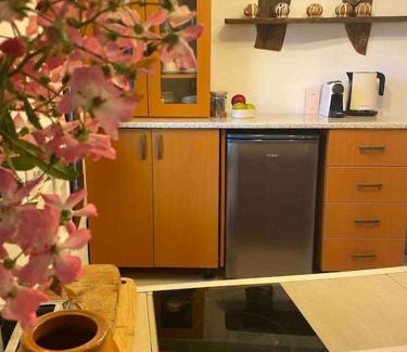 Narechen Villa | Beautiful Villa in the Rodopi Mountains