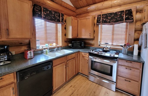 Winthrop House | Becky's Cabin-Dog Friendly and Easy Access to Methow Ski Trail & River!