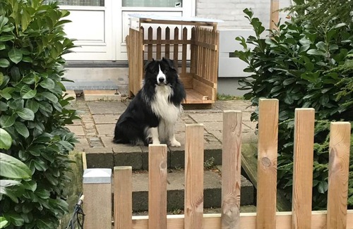 Birkerod Bed & Breakfast | Bed and Breakfast Birkerod