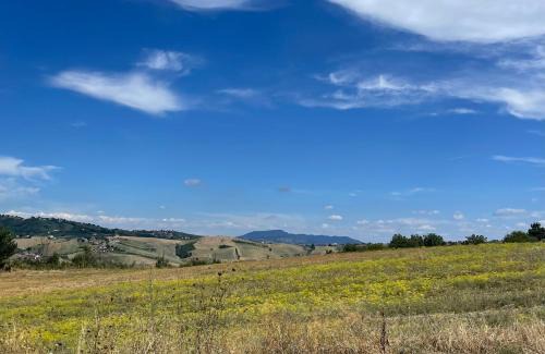 Melito Irpino Bed & Breakfast | Bed and Breakfast Dimora Peluso