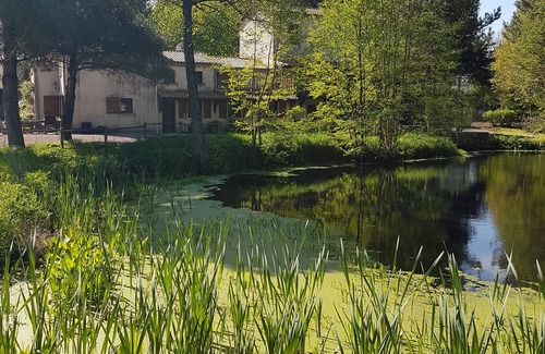 Les Chatelliers-Chateaumur House | Bed and breakfast Le Moulin de Charin- Wheat in grass- Puy du Fou
