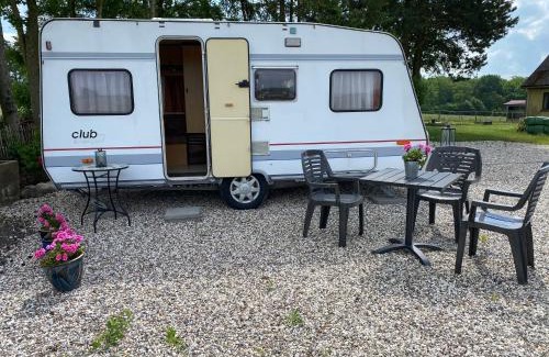 Tureby Bed & Breakfast | BED & BREAKFAST 5 MIN FROM e47 - DOGS WELCOME - COSY FARM BnB