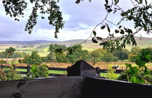 Lisnagunogue House | Beech Tree Cottage