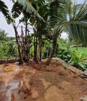 Thodupuzha Apartment | Beens Inn Properties