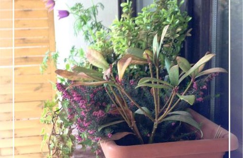 Barcs Apartment | Belvárosi Apartmanház