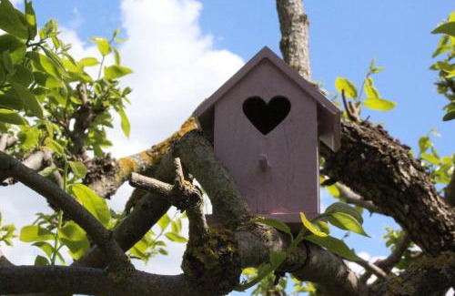 Montefiridolfi House | Bencini Family