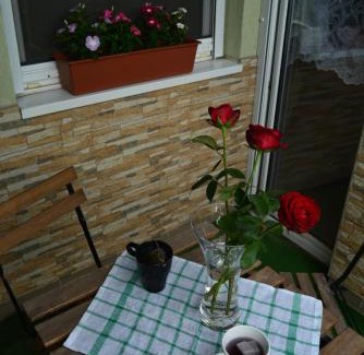 Berettyoujfalu Apartment | Berettyo Central Apartment