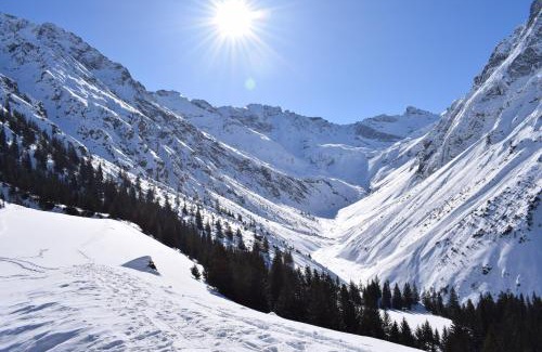 Boden House | Bergbauernhof Pabulariu
