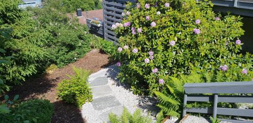 Forde House | Berge & Laila's Private Apartment