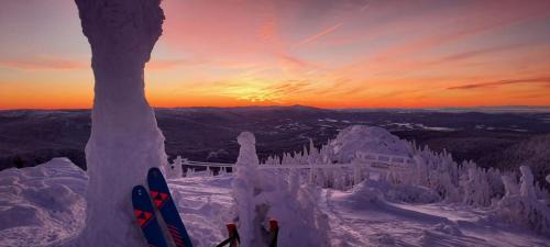 Lohberg Hotel | Berghotel Mooshütte am Arber, Naturidyll auf 950H