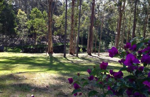 Barragga Bay House | Bermagui - Dybara Park - Barragga Bay