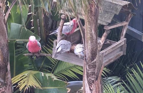 Sunset Strip House | Bermuda Palms Phillip Island - The place to vanish
