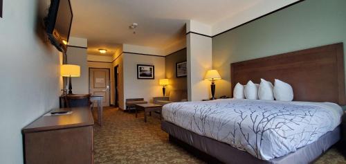 Emory Hotel | Best Western Plus Emory at Lake Fork Inn & Suites